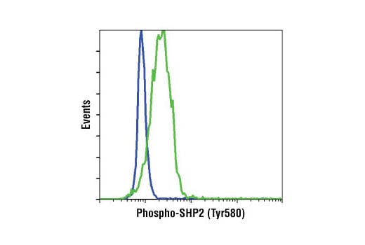 Flow Cytometry Image 1: Phospho-SHP-2 (Tyr580) (D66F10) Rabbit Monoclonal Antibody