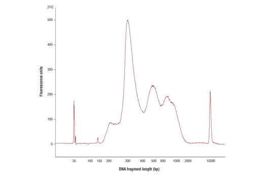 CUT & RUN Image 2: CUT&RUN pAG-MNase and Spike-In DNA