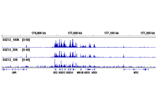 CUT & RUN Image 4: CUT&RUN Assay Kit
