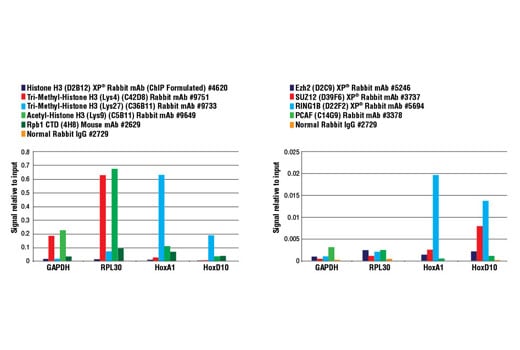 Chromatin Immunoprecipitation Image 4: SimpleChIP<sup>®</sup> Plus Enzymatic Chromatin IP Kit (Magnetic Beads)