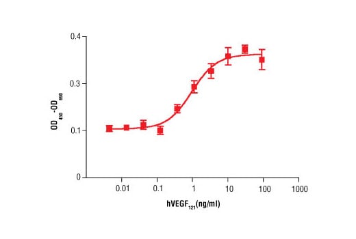 undefined Image 1: Human Vascular Endothelial Growth Factor-121 (hVEGF<sub>121</sub> )