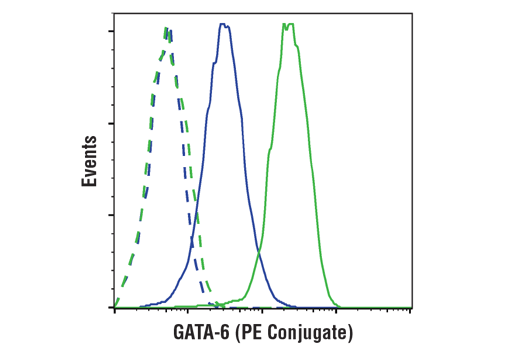 Flow Cytometry Image 1: GATA-6 (D61E4) XP<sup>®</sup> Rabbit mAb (PE Conjugate)