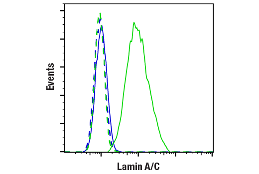 Flow Cytometry Image 2: Lamin A/C (4C11) Mouse Monoclonal Antibody