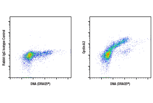 Flow Cytometry Image 1: Cyclin A2 (E6D1J) XP<sup>®</sup> Rabbit mAb (BSA and Azide Free)