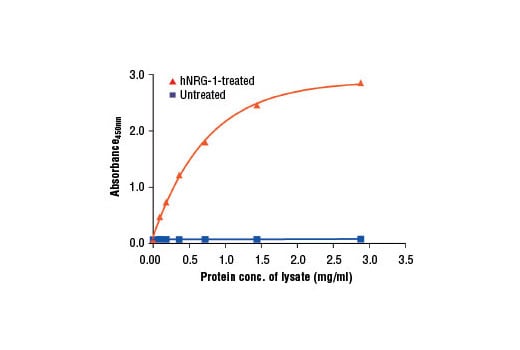 ELISA Image 2: PathScan<sup>®</sup> Phospho-HER4/ErbB4 (panTyr) Sandwich ELISA Kit