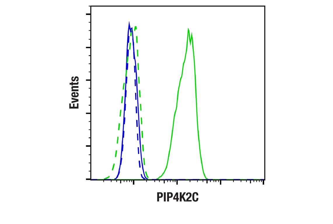 Flow Cytometry Image 1: PIP4K2C (E7P3S) Rabbit Monoclonal Antibody (BSA and Azide Free)
