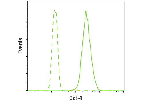Flow Cytometry Image 1: Oct-4 Antibody