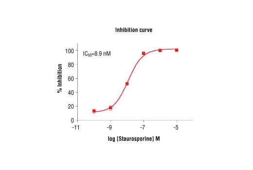 undefined Image 2: HTScan<sup>®</sup> Mouse PDGF Receptor alpha Kinase Assay Kit