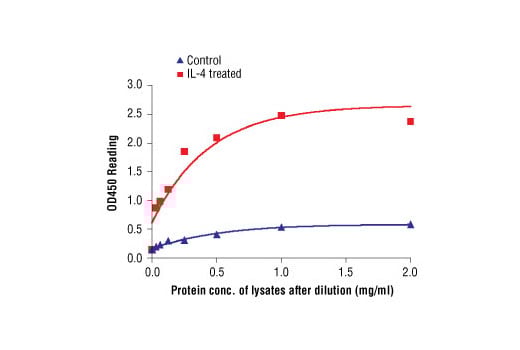 ELISA Image 2: PathScan<sup>®</sup> Phospho-cdc2 (Tyr15) Sandwich ELISA Kit