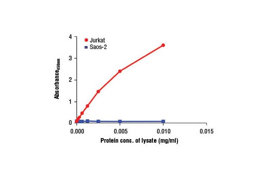 ELISA Image 2: PathScan<sup>®</sup> Phospho-Rb (Ser807/811) Sandwich ELISA Kit