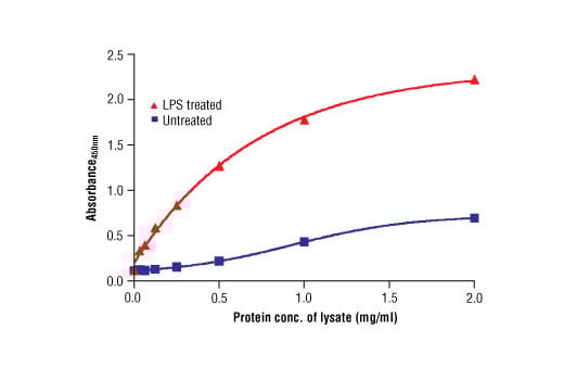 ELISA Image 2: PathScan<sup>®</sup> Phospho-IKK alpha (Ser176/180) Sandwich ELISA Kit