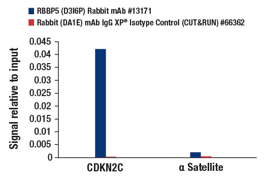 undefined Image 22: Lysine Methyltransferase Antibody Sampler Kit