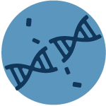 Icon of DNA double stranded break.