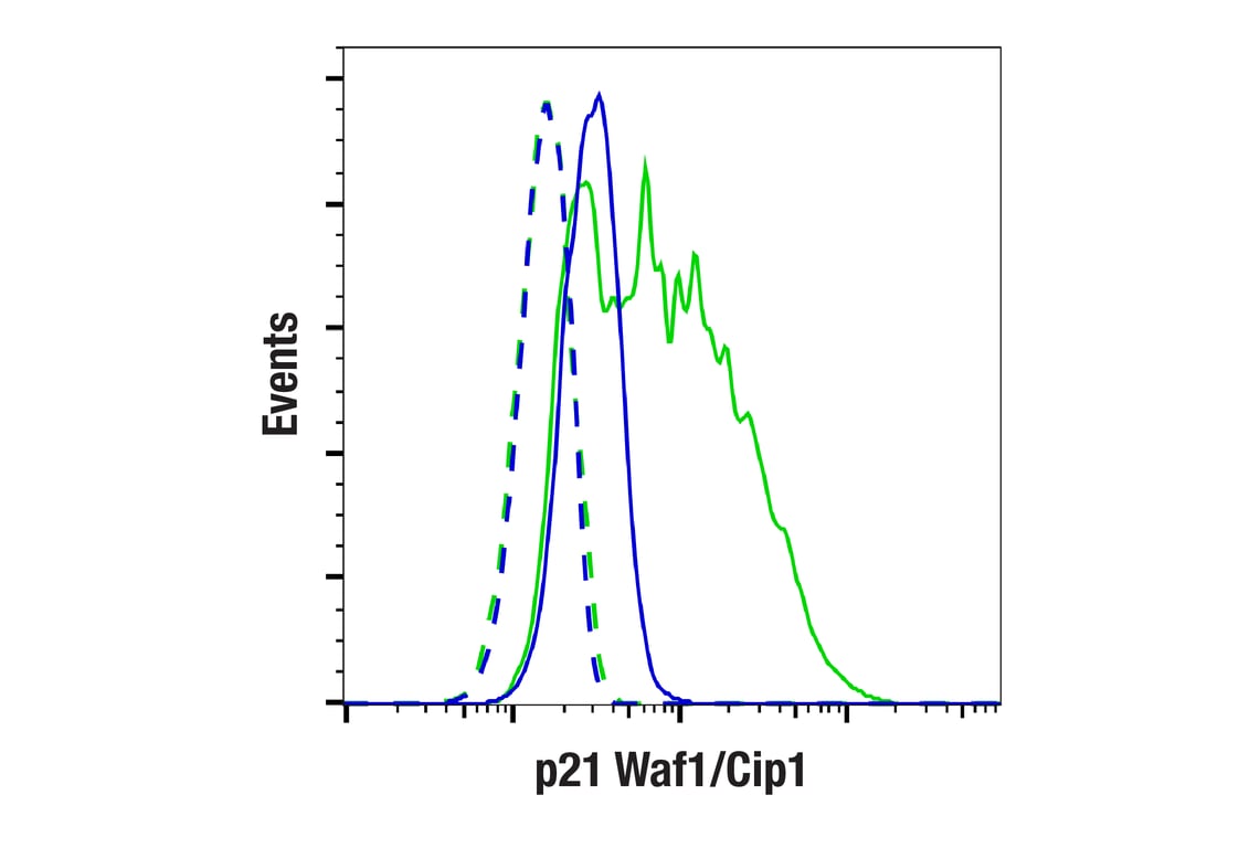 Flow Cytometry Image 1: p21 Waf1/Cip1 (F2C7C) Rabbit Monoclonal Antibody