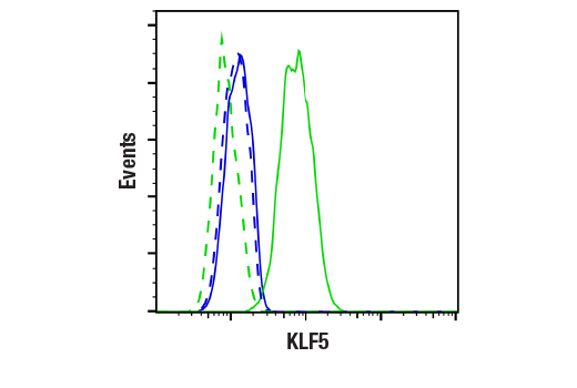 Flow Cytometry Image 1: KLF5 (E5K6H) Rabbit Monoclonal Antibody