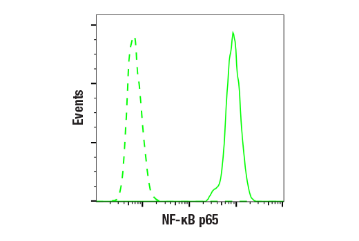 undefined Image 18: NF-kappaB p65 Antibody Sampler Kit