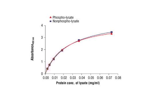ELISA Image 2: PathScan<sup>®</sup> Total ALK Sandwich ELISA Kit