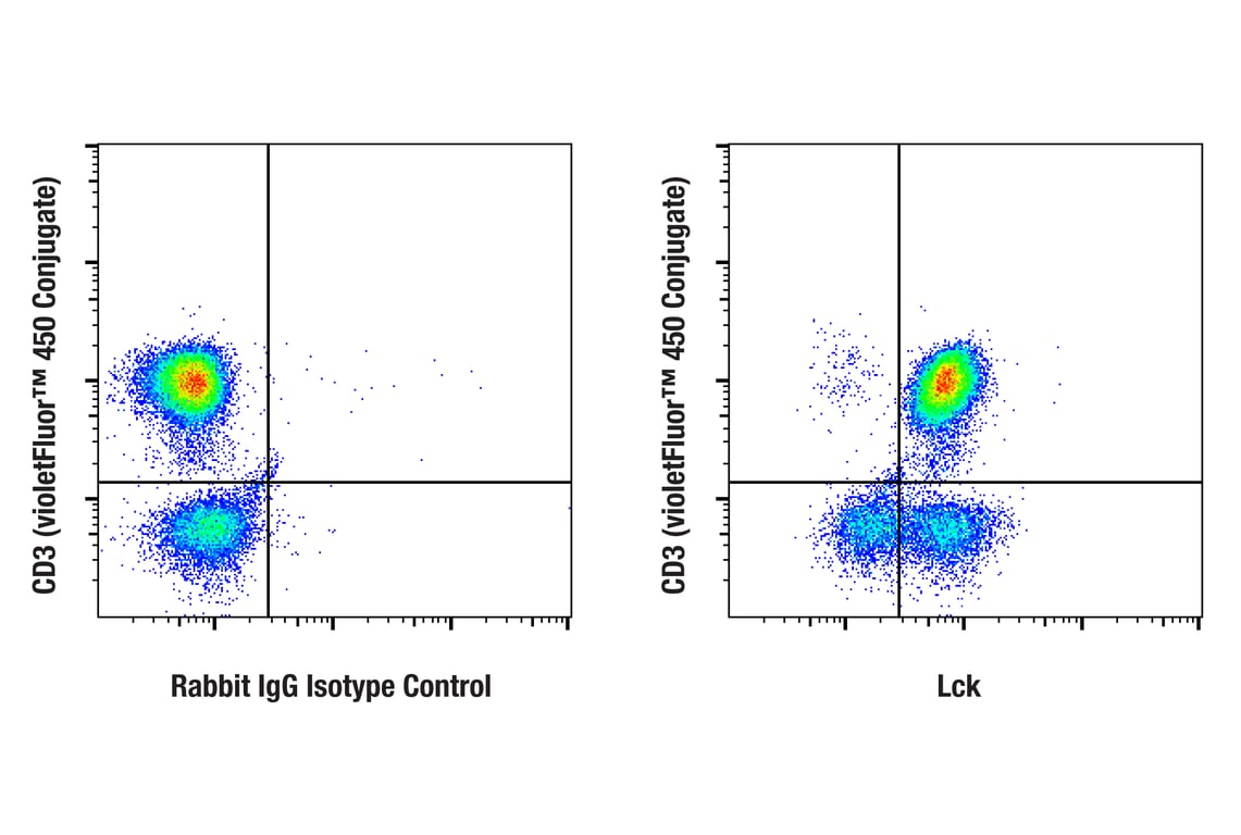Flow Cytometry Image 3: Lck (D88) Rabbit Monoclonal Antibody