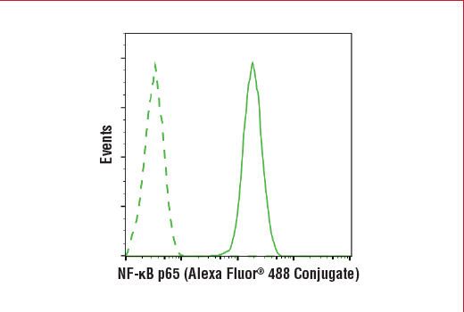 Flow Cytometry Image 1: NF-kappaB p65 (D14E12) Rabbit Monoclonal Antibody (Alexa Fluor<sup>®</sup> 488 Conjugate)