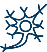 Neuron icon