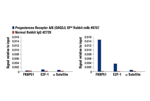 Chromatin Immunoprecipitation Image 3: Progesterone Receptor A/B (D8Q2J) Rabbit Monoclonal Antibody