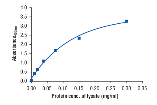 ELISA Image 2: PathScan<sup>®</sup> Total Estrogen Receptor alpha Sandwich ELISA Kit