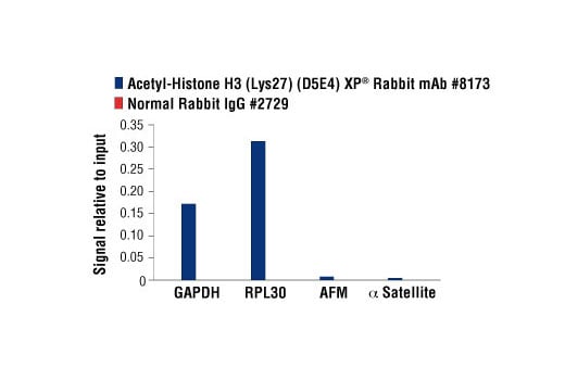 Chromatin Immunoprecipitation Image 3: Acetyl-Histone H3 (Lys27) (D5E4) Rabbit Monoclonal Antibody