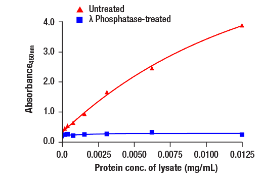 ELISA and/or ELISA-like Assays Image 2: PathScan<sup>®</sup> RP Phospho-Tau (Thr217) Sandwich ELISA Kit