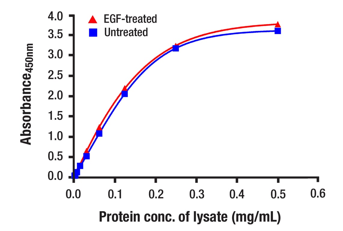 ELISA Image 1: Total p44/42 MAPK (Erk1/2) Matched Antibody Pair