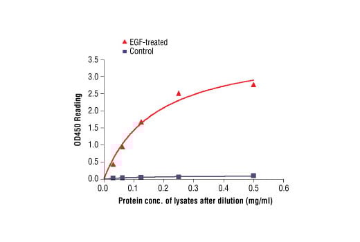ELISA Image 2: PathScan<sup>®</sup> Phospho-EGF Receptor (Tyr1173) Sandwich ELISA Kit