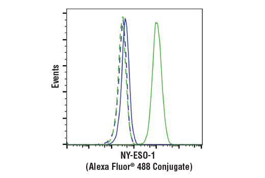 Flow Cytometry Image 1: NY-ESO-1 (D1Q2U) Rabbit mAb (Alexa Fluor<sup>®</sup> 488 Conjugate)
