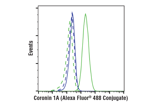 Flow Cytometry Image 1: Coronin 1A (D6K5B) XP<sup>®</sup> Rabbit mAb (Alexa Fluor<sup>®</sup> 488 Conjugate)