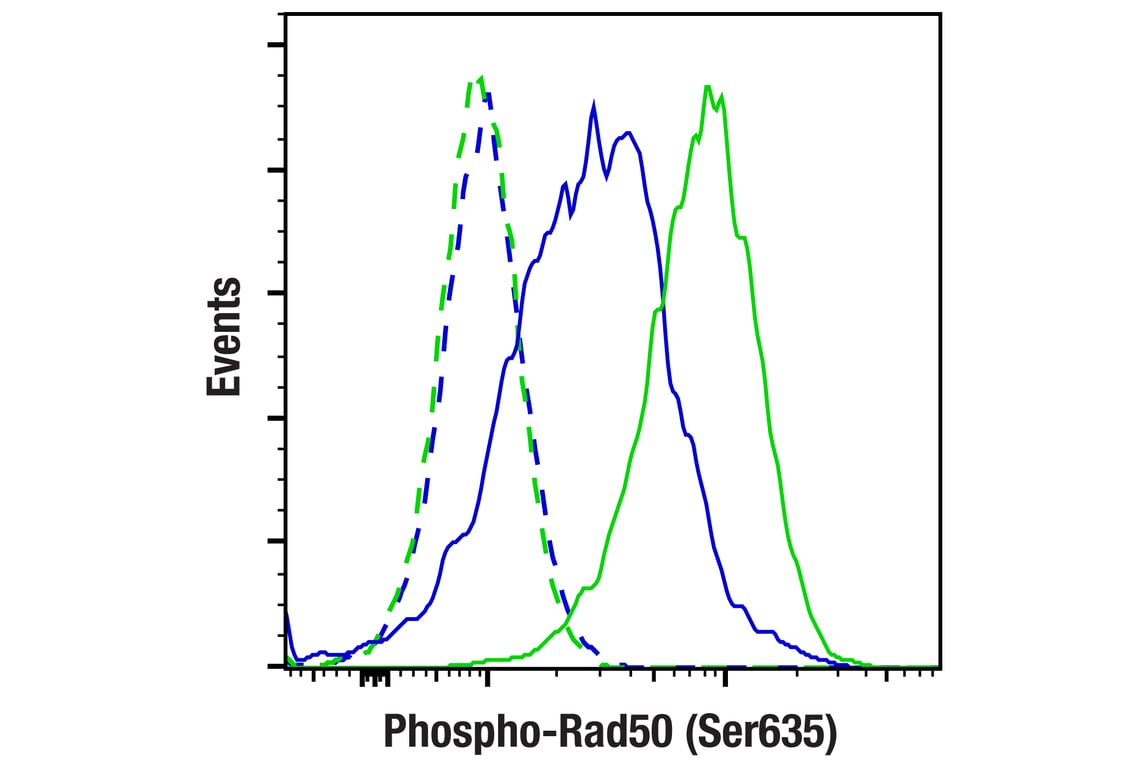 Flow Cytometry Image 1: Phospho-Rad50 (Ser635) (F5H8B) Rabbit mAb