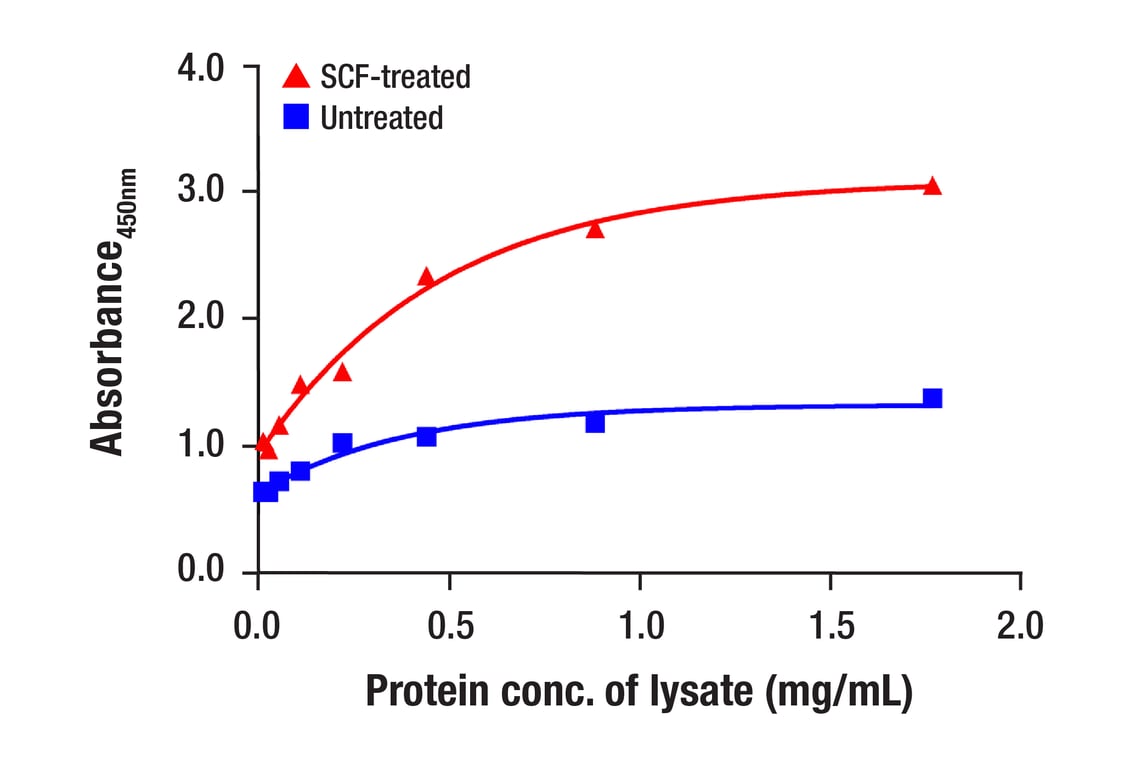 ELISA Image 3: PathScan<sup>®</sup> Phospho-c-Kit (Tyr719) Sandwich ELISA Kit