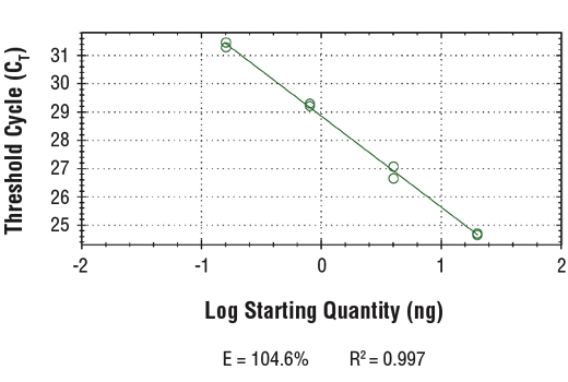 undefined Image 1: SimpleChIP<sup>®</sup> Human DNAJB9 Exon 1 Primers