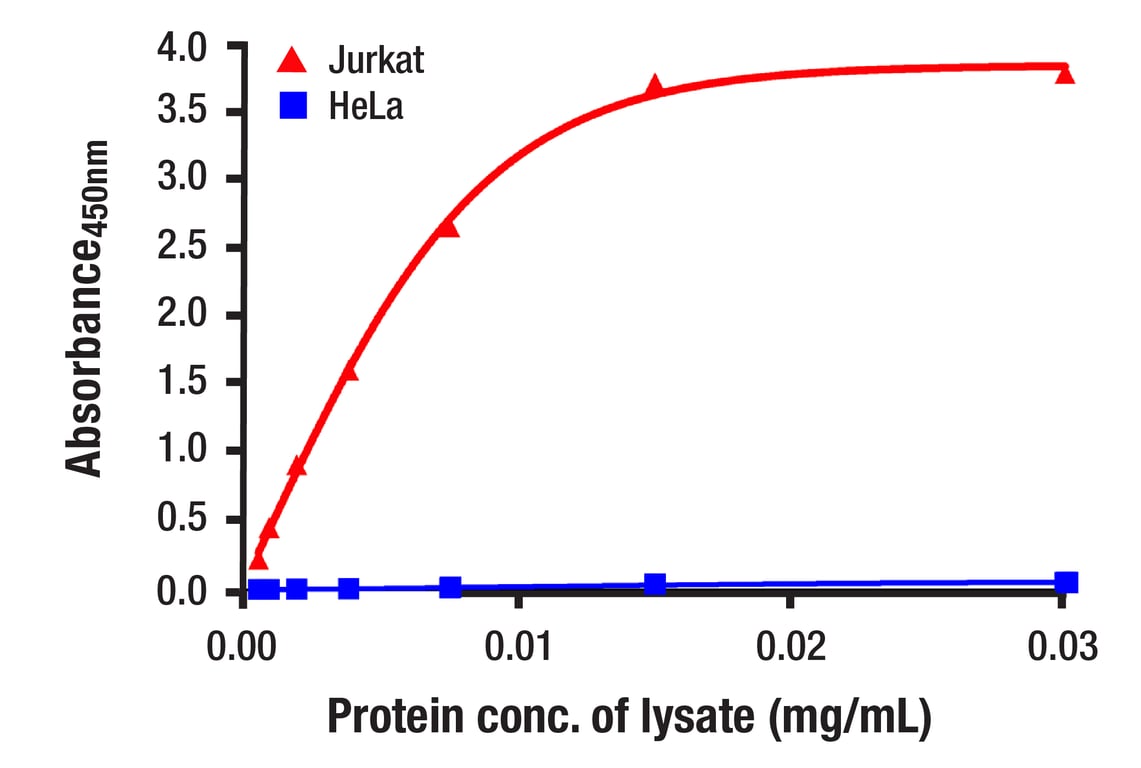 ELISA Image 2: Rb (4H1) Mouse Monoclonal Antibody (BSA and Azide Free)