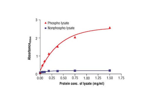 ELISA Image 2: PathScan<sup>®</sup> Phospho-ROS1 (panTyr) Sandwich ELISA Kit