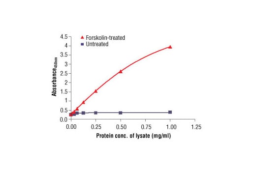 ELISA Image 2: PathScan<sup>®</sup> Phospho-CREB (Ser133) Sandwich ELISA Kit