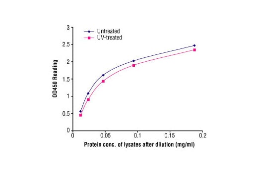 ELISA Image 2: PathScan<sup>®</sup> Total HSP27 Sandwich ELISA Kit