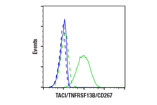 Flow Cytometry Image 2: TACI/TNFRSF13B/CD267 (E3P6X) Rabbit Monoclonal Antibody