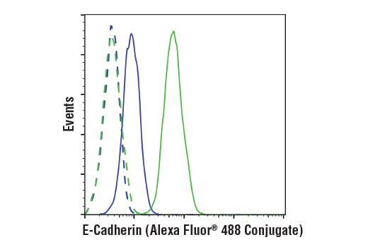 Flow Cytometry Image 1: E-Cadherin (24E10) Rabbit Monoclonal Antibody (Alexa Fluor<sup>®</sup> 488 Conjugate)