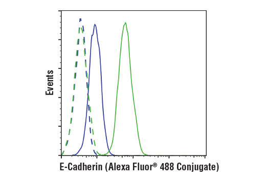 Flow Cytometry Image 1: E-Cadherin (24E10) Rabbit mAb (Alexa Fluor<sup>®</sup> 488 Conjugate)
