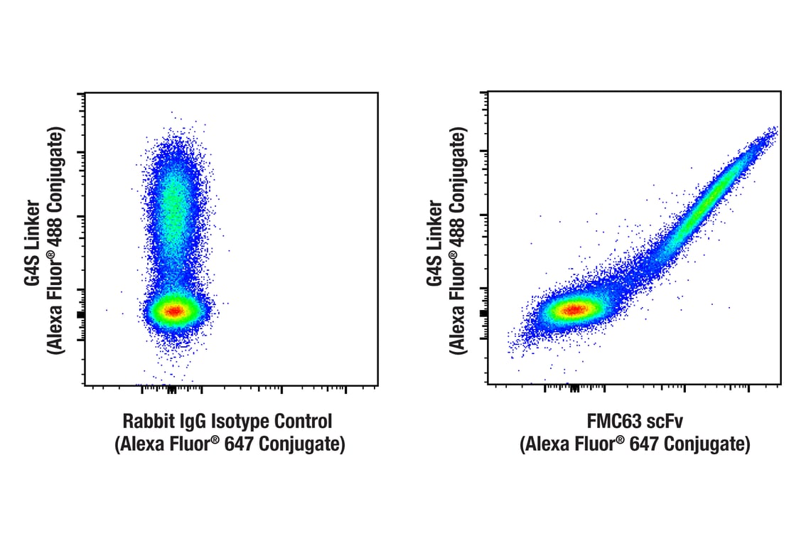 FMC63 scFv (F2Q8G) Rabbit Monoclonal Antibody (Alexa Fluor® 647