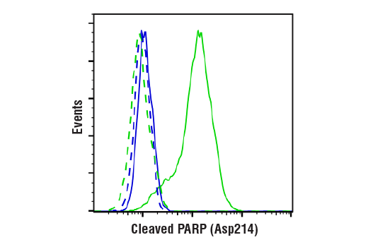 Flow Cytometry Image 1: Cleaved PARP (Asp214) (D64E10) Rabbit Monoclonal Antibody (BSA and Azide Free)