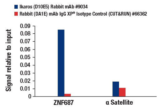 CUT & RUN Image 3: Ikaros (D10E5) Rabbit Monoclonal Antibody