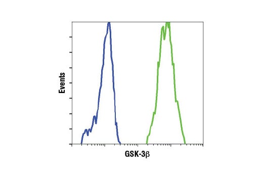 Flow Cytometry Image 1: GSK-3 beta (3D10) Mouse Monoclonal Antibody