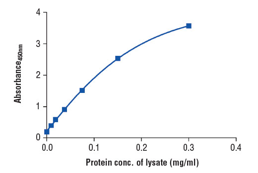 ELISA Image 2: PathScan<sup>®</sup> Total AMPK alpha Sandwich ELISA Kit