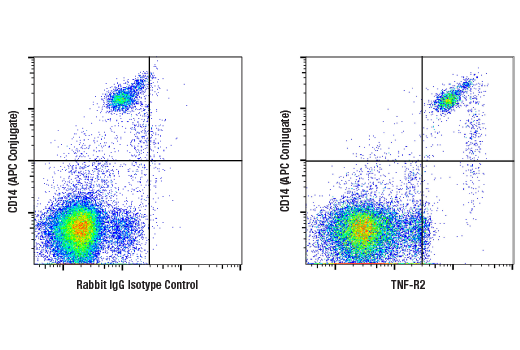 Flow Cytometry Image 1: TNF-R2 (E8D7P) Rabbit Monoclonal Antibody