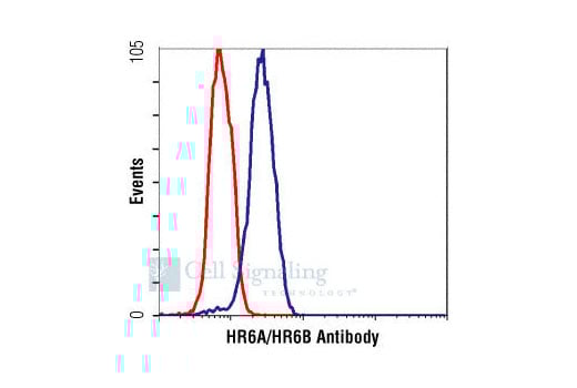 Flow Cytometry Image 1: HR6A/HR6B Antibody