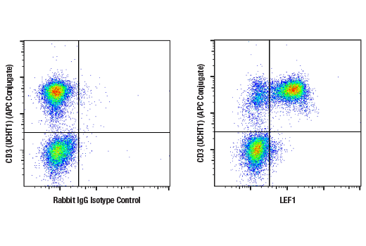 Flow Cytometry Image 1: LEF1 (D6J2W) Rabbit Monoclonal Antibody